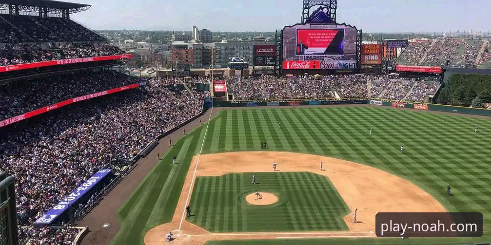 诺亚体育免费下载手机版：为何成为体育爱好者的新选择？